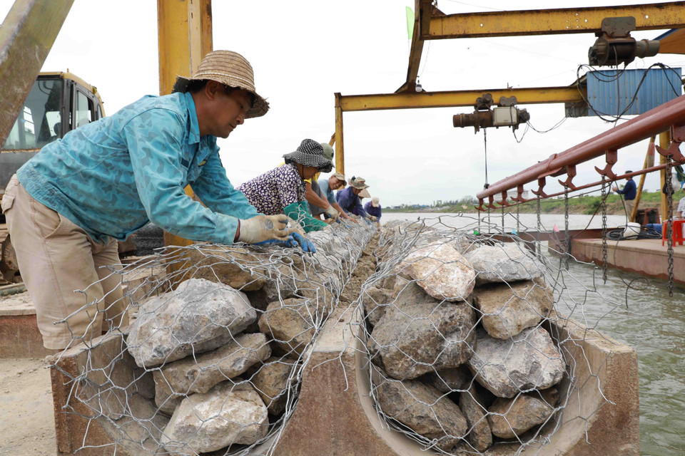 Thi công thả rồng đá hộc tại kè Quy Phú (từ k178+907 - k179+480) thuộc tuyến đê Hữu Hồng, xã Nam Hồng, huyện Nam Trực. (Ảnh: Vũ Sinh/TTXVN)