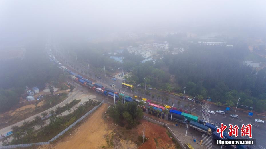 Xe dồn ứ trên đường vào cảng. (Nguồn: Chinanews)