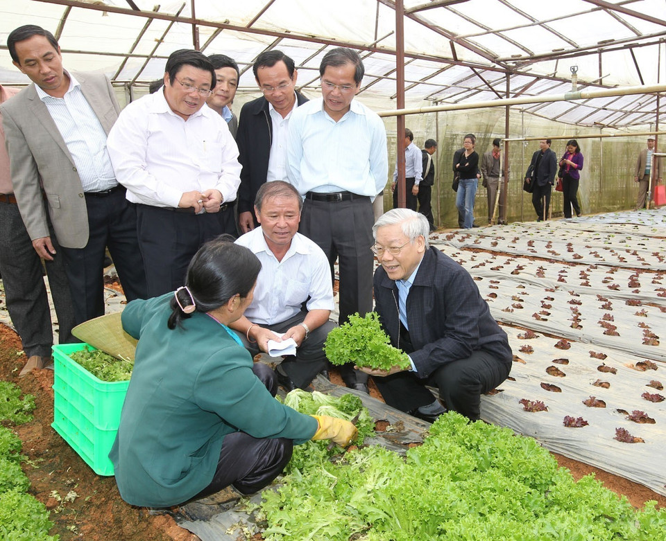 Tổng Bí thư Nguyễn Phú Trọng thăm Hợp tác xã Xuân Hương, Phường 9, thành phố Đà Lạt (Lâm Đồng, 7/12/2012). (Ảnh: Trí Dũng/TTXVN)