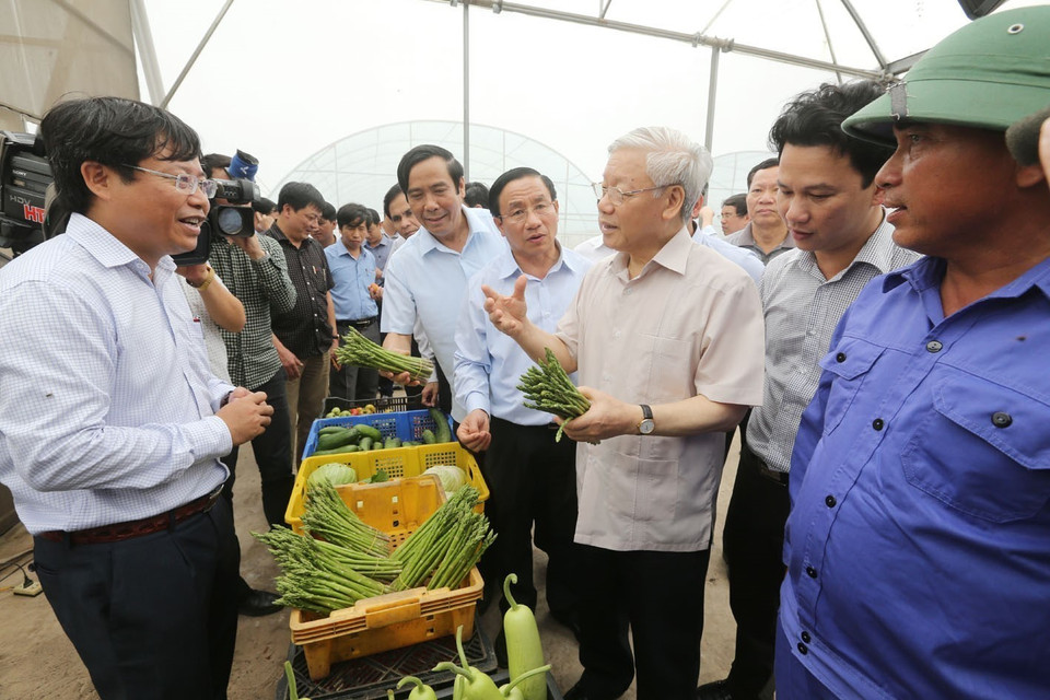 Tổng Bí thư Nguyễn Phú Trọng thăm Dự án sản xuất rau, củ, quả công nghệ cao trên đất cát dọc bờ biển Hà Tĩnh, ngày 22/4/2016. (Ảnh: Trí Dũng/TTXVN)
