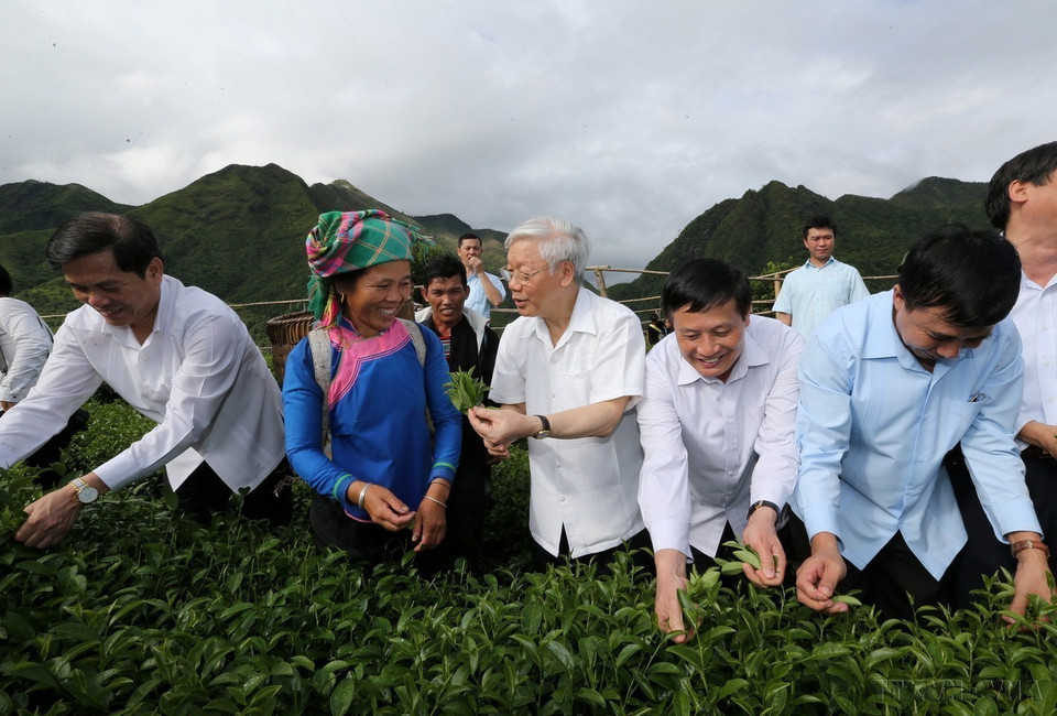 Tổng Bí thư Nguyễn Phú Trọng thăm mô hình thâm canh sản xuất chè VIET GAP ở Bản Cốc Phát , xã nông thôn mới Bản Bo, huyện Tam Đường, tỉnh Lai Châu (14/7/2016). (Ảnh: Trí Dũng/TTXVN)