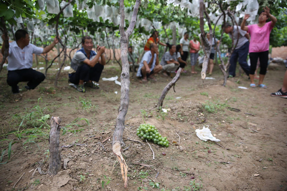 Cảnh sát địa phương đang điều tra vụ việc.
