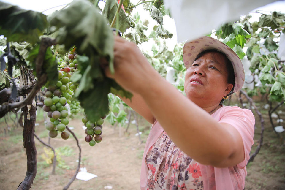 'Sự việc này đau đớn giống tựa như việc lấy đi tính mạng của chúng tôi,' một người dân nói.