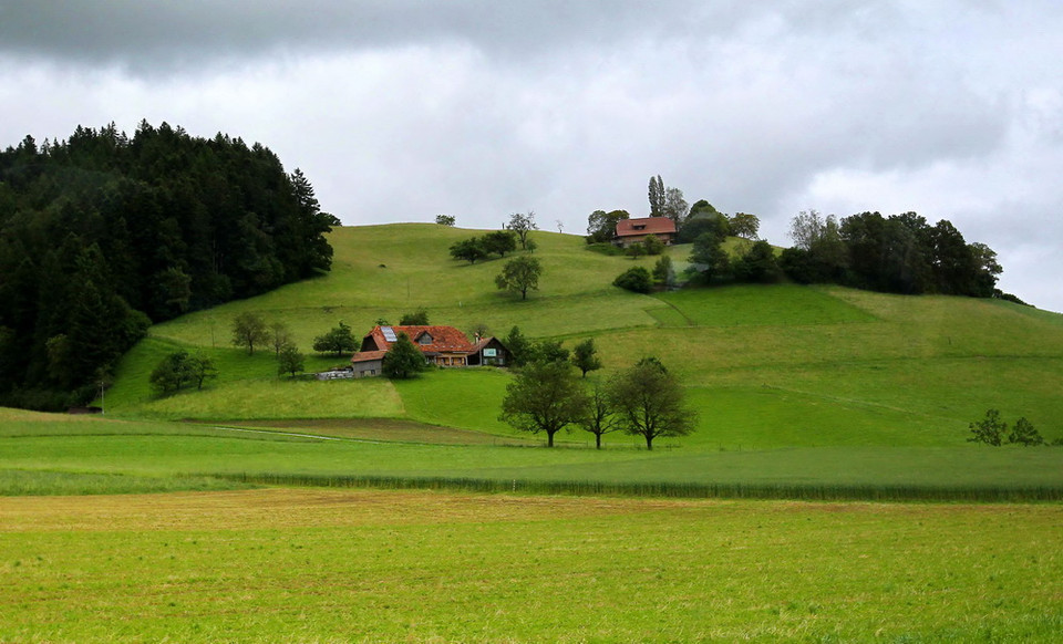 Những căn nhà gác mái đặc trưng của làng quê Thụy Sĩ nằm rải rác trên đồi, giữa thiên nhiên xanh mướt tạo nên bức tranh thanh bình, lãng mạn. (Ảnh: Quang Hải/TTXVN)