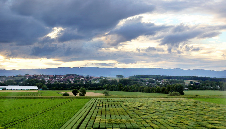 Chiều làng quê Thụy Sĩ. (Ảnh: Quang Hải/TTXVN)