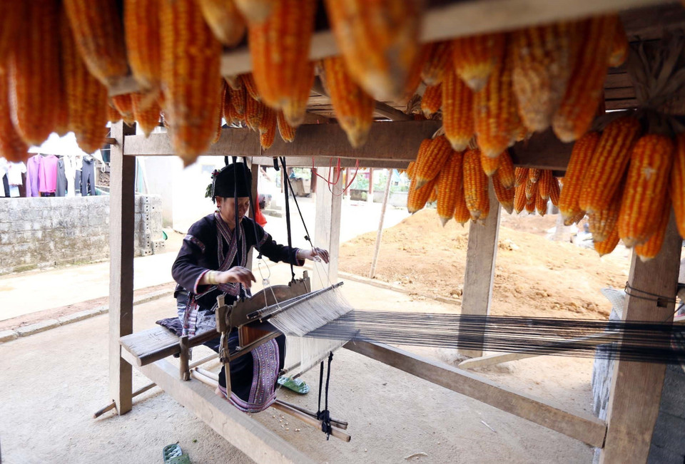 Xã Bản Hon (Tam Đường, Lai Châu) có hơn 2.800 nhân khẩu, trong đó đồng bào dân tộc Lự chiếm trên 90%. Nhiều hộ dân không chỉ thoát nghèo mà còn vươn lên làm giàu. Hiện cả xã chỉ còn hơn 25% hộ nghèo. (Ảnh: Quý Trung/TTXVN)