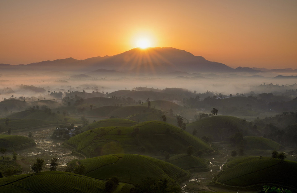 Bình minh trên đồi chè ở Long Cốc. (Ảnh: Anh Tuấn/TTXVN)