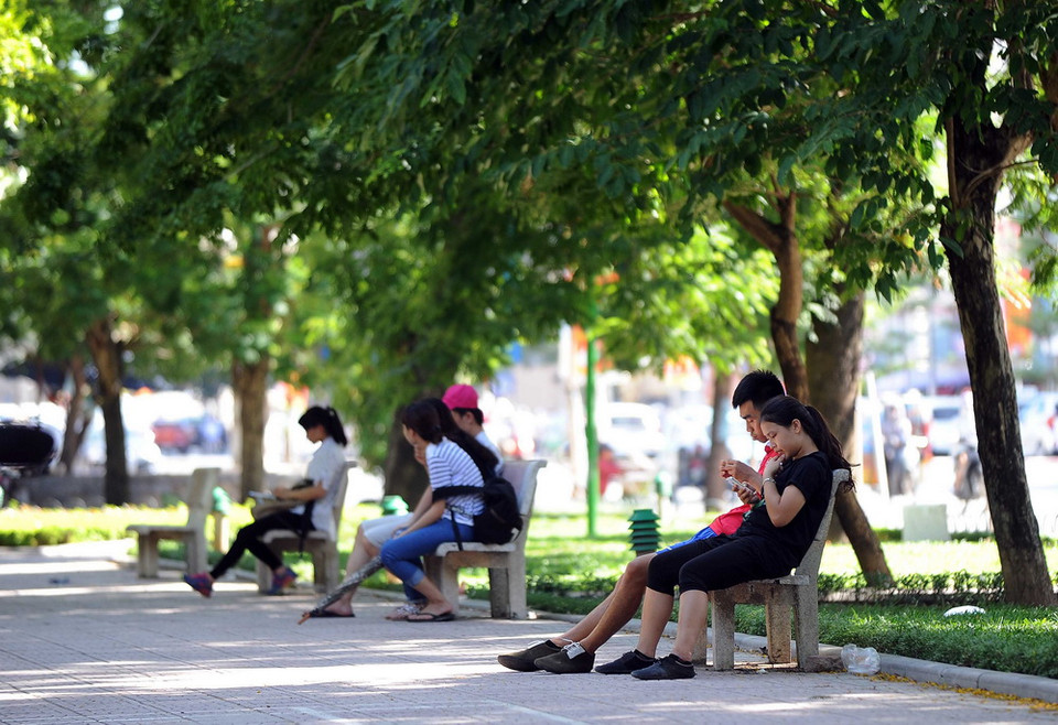 Tranh thủ ẩn mình trong bóng mát của những hàng cây trên phố. (Ảnh: Quang Quyết/TTXVN)