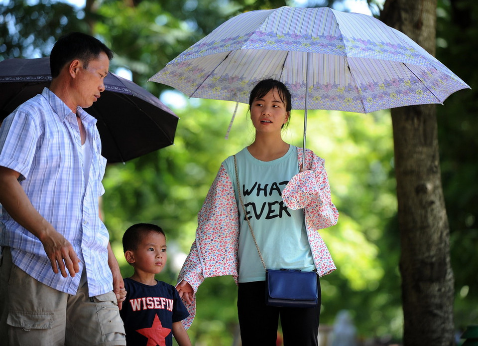 Tranh thủ ẩn mình trong bóng mát của những hàng cây trên phố. (Ảnh: Quang Quyết/TTXVN)