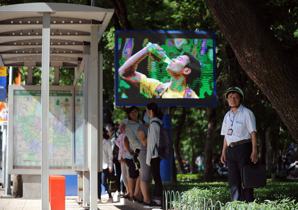 Tranh thủ ẩn mình trong bóng mát của những hàng cây trên phố. (Ảnh: Quang Quyết/TTXVN)