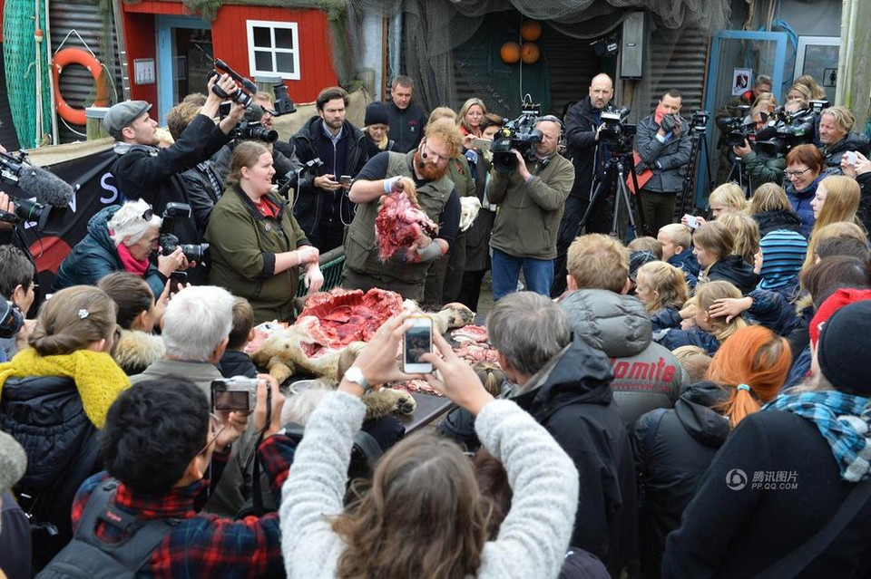 Vườn thú này có truyền thống biểu diễn giải phẫu từ nhiều năm nay và nhấn mạnh rằng đây không phải là việc làm mang tính giải trí mà chứa đựng giá trị giáo dục và chia sẻ kiến thức. (Nguồn: QQ)