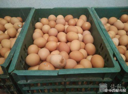 Trứng gà để chế biến cho học sinh. (Nguồn: QQ)