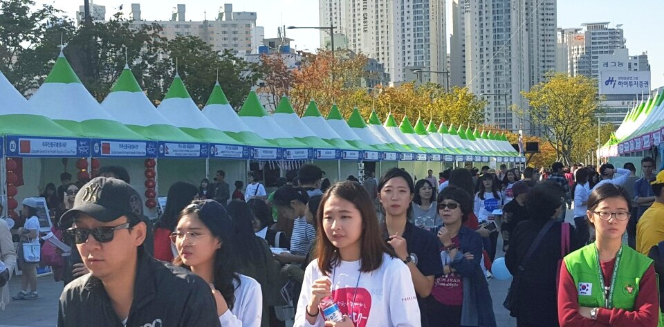 Khoảng 30.000 du khách Hàn Quốc và quốc tế tham dự lễ hội. (Ảnh: Phạm Duy/Vietnam+)