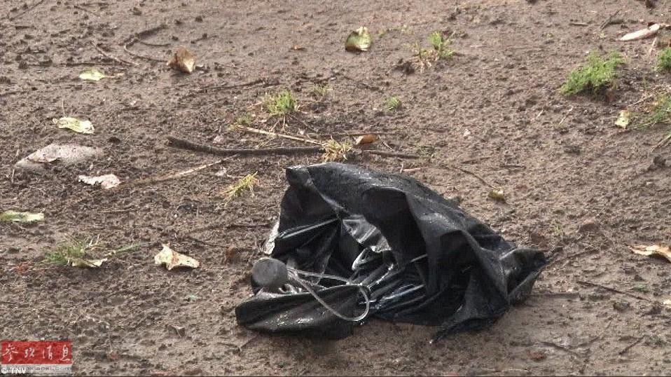 Một người phụ nữ bị sét đánh khi đang che ô đi ở công viên. (Nguồn: TNV)