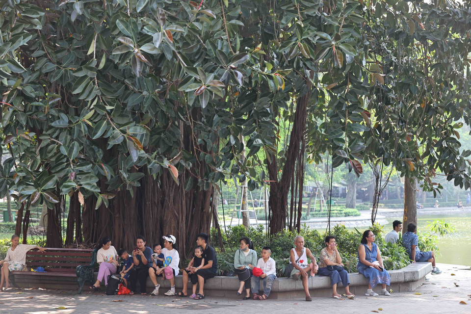 Người dân tranh thủ tránh nắng dưới những tán cây. (Ảnh: Minh Đức/TTXVN)
