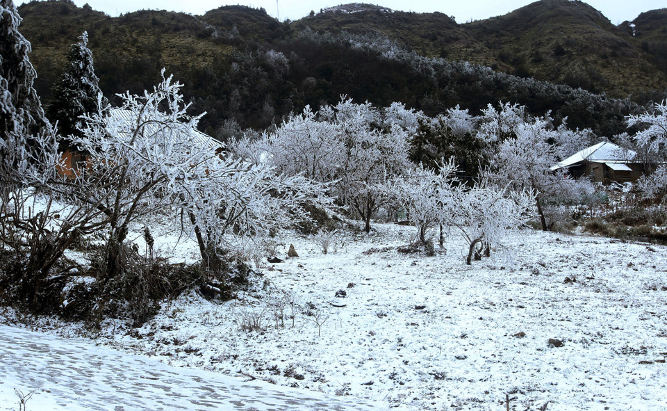 Tuyết rơi phủ trắng tại xã Y Tý, huyện Bát Xát. (Ảnh: Quốc Khánh/TTXVN)