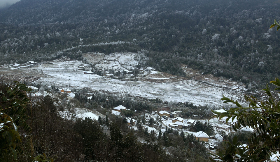 Tuyết rơi phủ trắng xóa tại xã Y Tý, huyện Bát Xát. (Ảnh: Quốc Khánh/TTXVN)