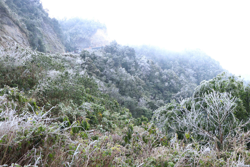 Băng giá phủ kín đoạn đèo Ô Quy Hồ thuộc địa phận tỉnh Lai Châu đi Sa Pa. (Ảnh: Nguyễn Oanh/TTXVN)