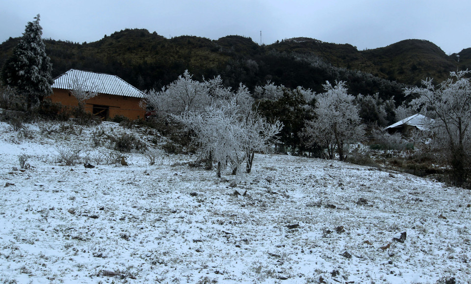 Tuyết rơi phủ trắng tại xã Y Tý, huyện Bát Xát. (Ảnh: Quốc Khánh/TTXVN)
