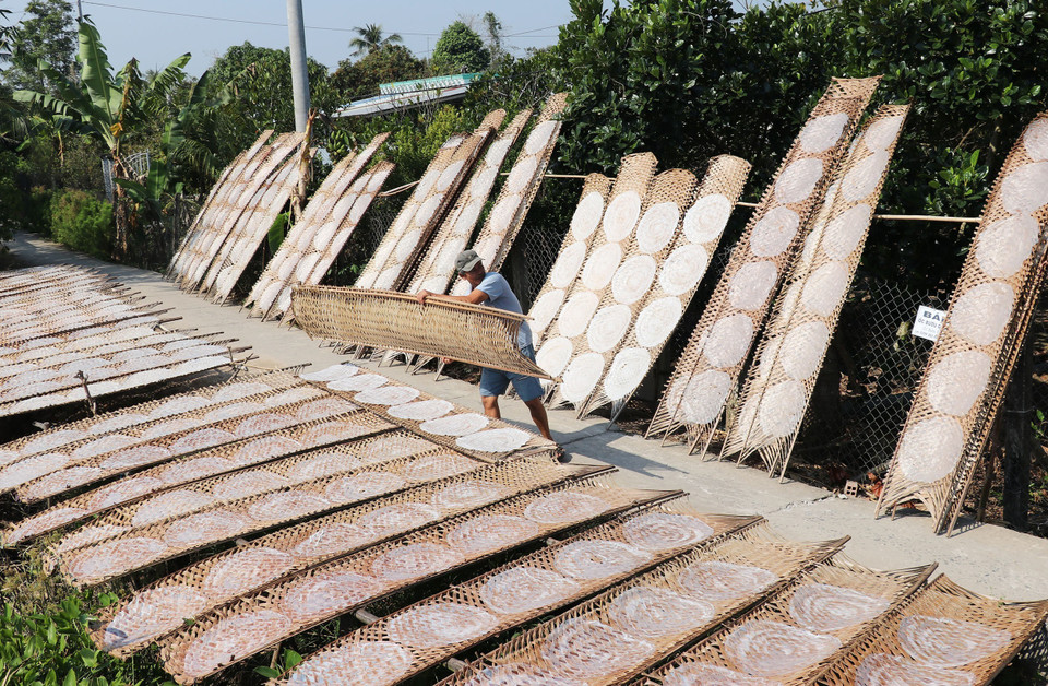 Bánh tráng được mang ra phơi khô dưới nắng. (Ảnh: Hữu Chí/TTXVN)
