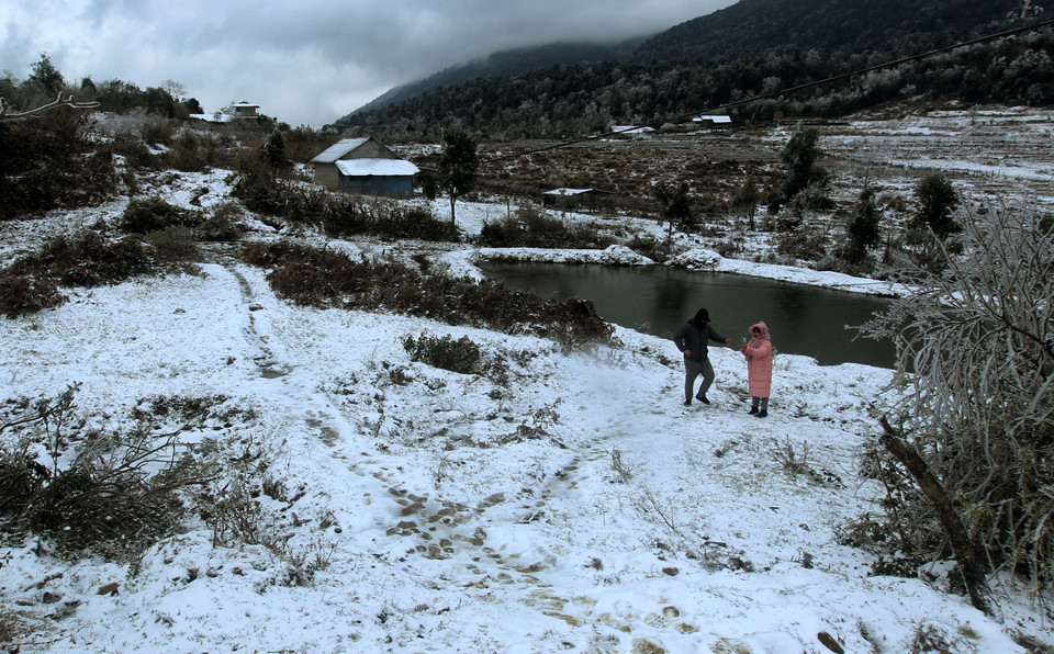 Tuyết rơi phủ trắng xóa tại xã Y Tý, huyện Bát Xát. (Ảnh: Quốc Khánh/TTXVN)