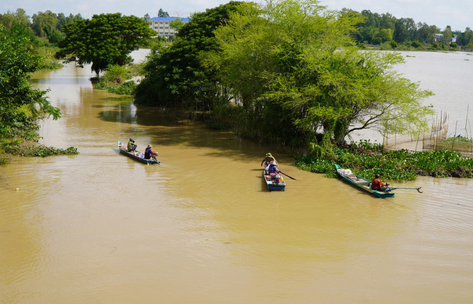 Người dân đánh bắt cá trên đoạn sông thuộc xã Thường Thới Hậu A, huyện Hồng Ngự, Đồng Tháp. (Ảnh: Nhựt An/TTXVN)