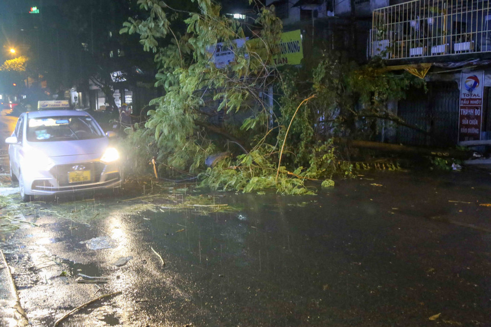 Giao thông trên phố Thái Thịnh (Hà Nội) bị cản trở vì cây đổ sau trận mưa lớn. (Ảnh: Tuấn Đức/TTXVN)