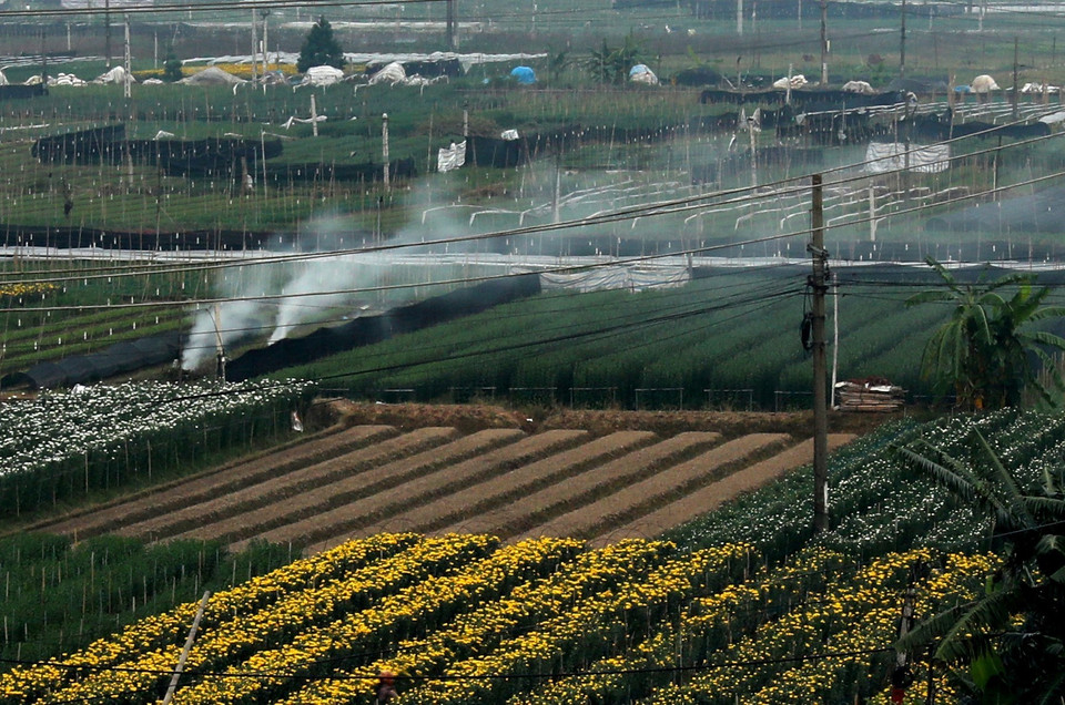 Đốt rơm rạ tại huyện Mê Linh, Hà Nội. (Ảnh: Ngọc Hà/TTXVN)