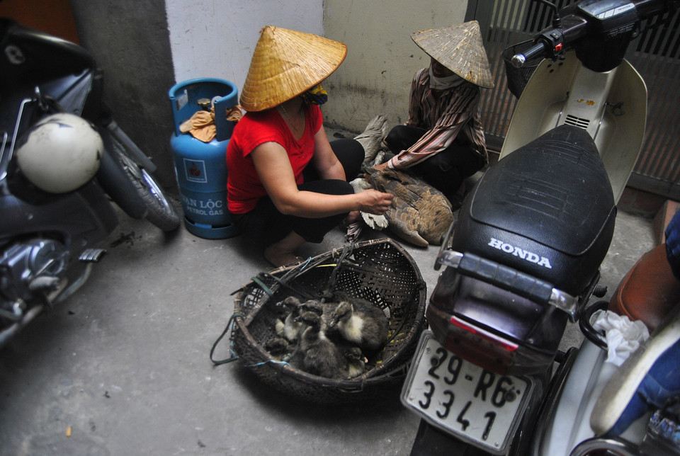 Thôi chị ơi, còn có chừng này là may rồi (Ảnh: Võ Phương/Vietnam+)