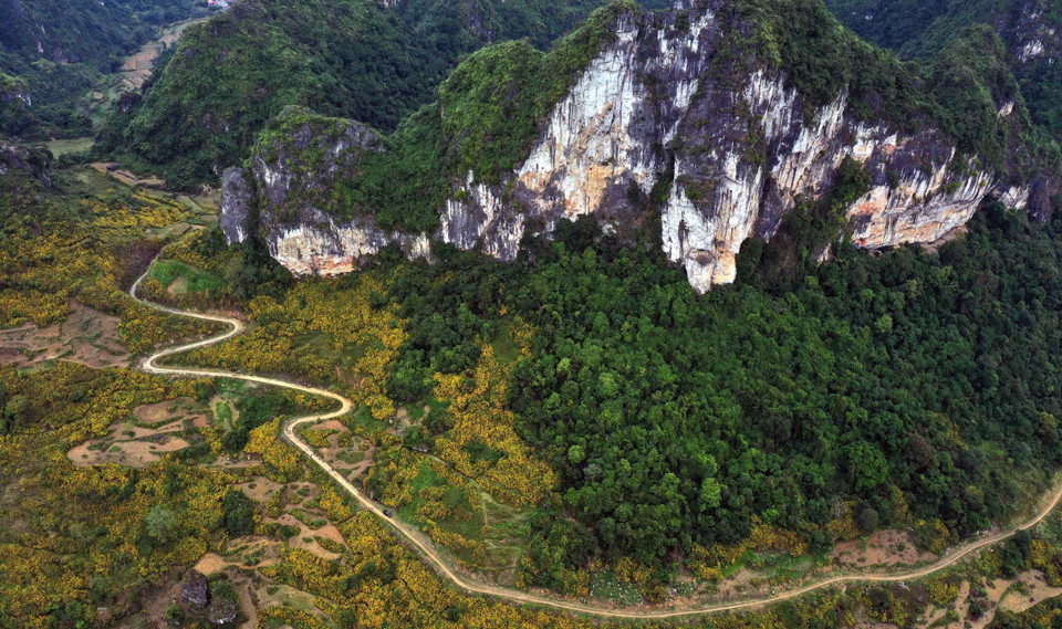 Mùa Đông, khi những vạt rừng hoa dã quỳ nở vàng rực rỡ cả núi đồi, rất nhiều du khách lạc lối quên về giữa vẻ đẹp hoang dại của núi rừng biên giới. (Nguồn: TTXVN phát)