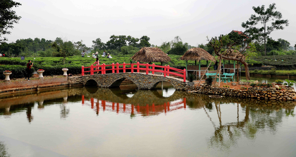 Không chỉ sản xuất, nhiều cơ sở đã tham gia hoạt động du lịch, đón khách, tạo ra điểm du lịch trải nghiệm văn hóa trà. (Ảnh: Thanh Tùng/TTXVN)