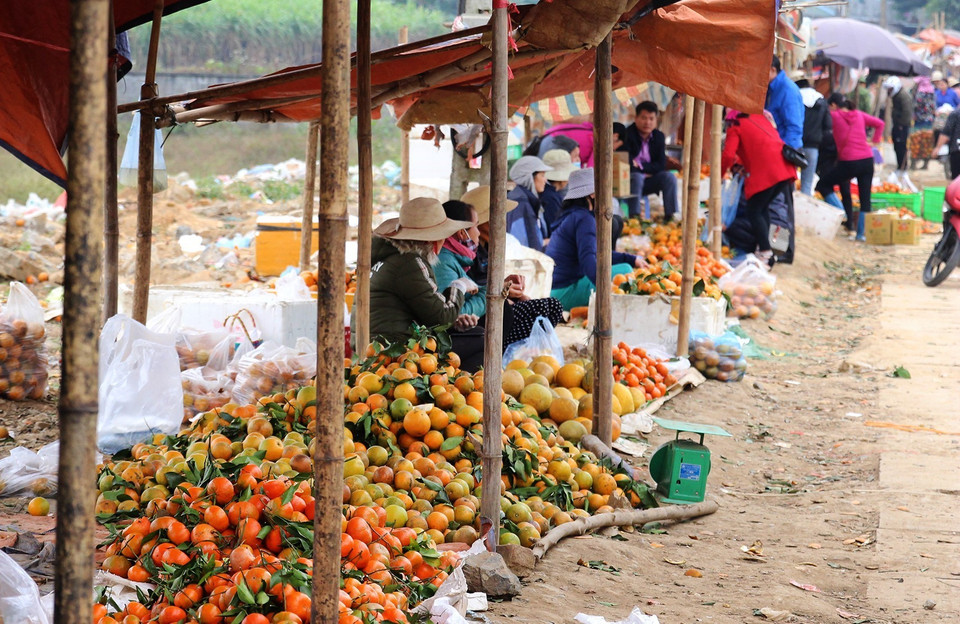 Cam Cao Phong chín rộ được bày bán tại khu vực chợ nông sản ven đường Quốc lộ 6 trên địa phận huyện Cao Phong, Hòa Bình. (Ảnh: Trọng Đạt/TTXVN)