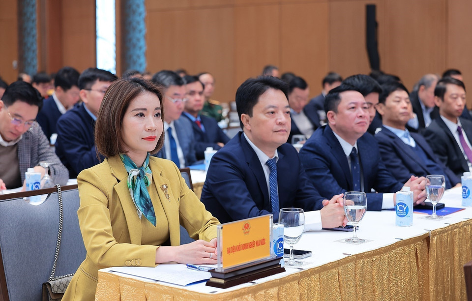 Đại diện các doanh nghiệp nhà nước tham dự Hội nghị. (Ảnh: Dương Giang/TTXVN)