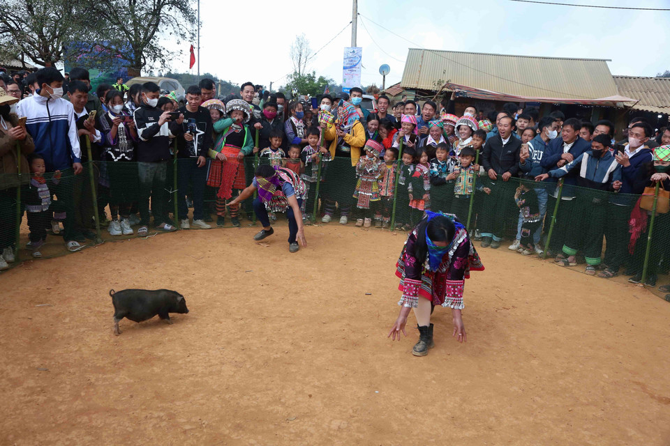 Đồng bào dân tộc thi "Bịt mắt bắt lợn" tại Ngày hội. (Ảnh: Quang Quyết/TTXVN)