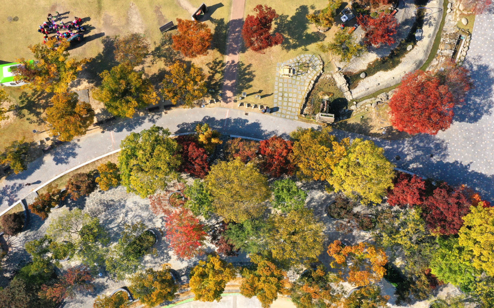 Những tán lá chuyển màu vàng và đỏ khi thu sang, tại Gokseong, tỉnh Nam Jeolla, Hàn Quốc, ngày 24/10/2022. (Ảnh: Yonhap/TTXVN)