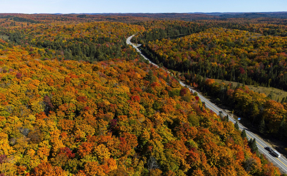 Cảnh mùa Thu tại Ontario, Canada, ngày 3/10/2022. (Ảnh: THX/TTXVN)