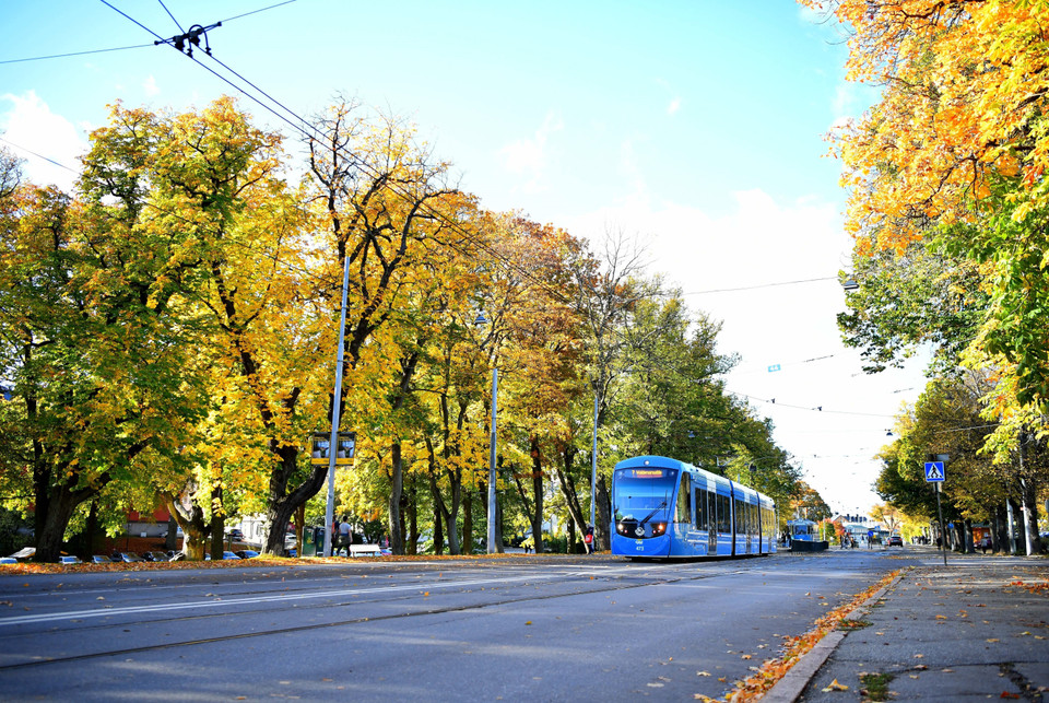 Cảnh mùa Thu tại Stockholm, Thụy Điển, ngày 8/10/2022. (Ảnh: THX/TTXVN)