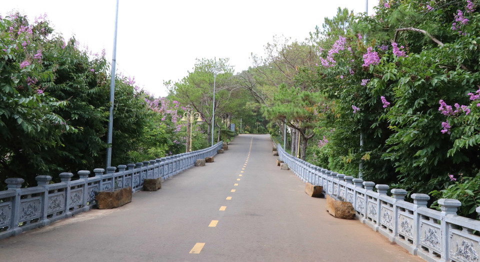 Đường dẫn đến khu du lịch Biển Hồ. (Ảnh: Hồng Điệp/TTXVN)