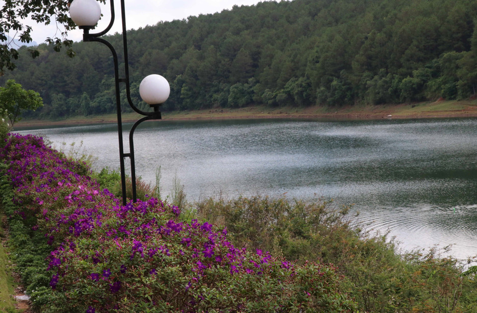 Cảnh quan ven hồ được tạo điểm nhấn với các loài hoa rực rỡ. (Ảnh: Hồng Điệp/TTXVN)