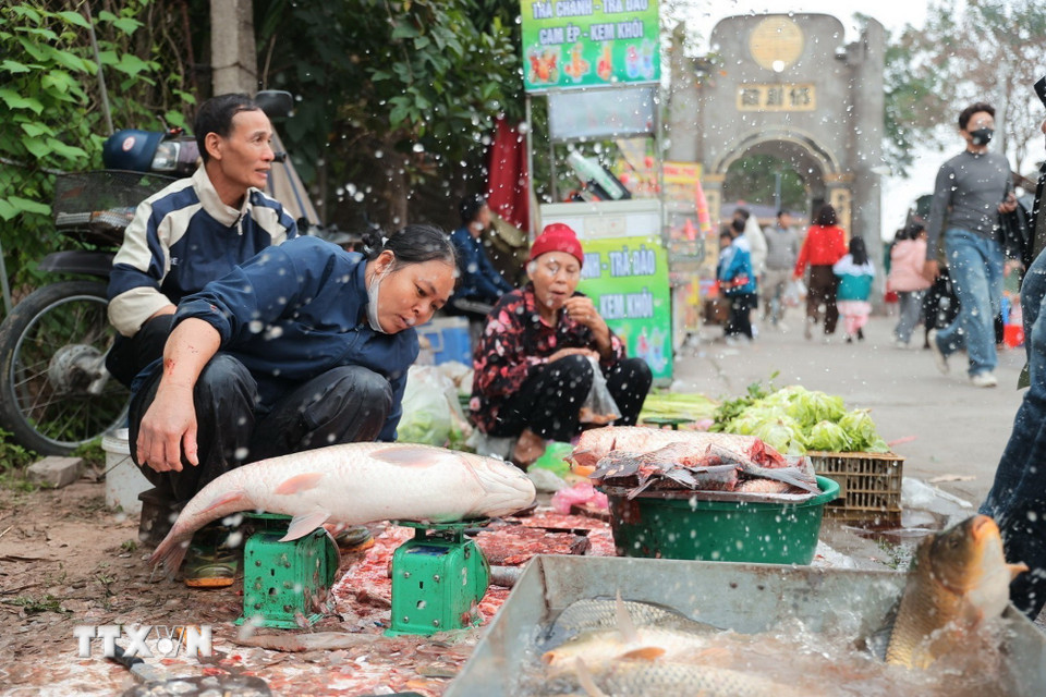 Chợ bán đủ các mặt hàng thiết yếu, từ thịt, cá, rau dưa, bún, hải sản đến những vật dụng nhỏ bé, quen thuộc của đời sống gia đình như cây kim, sợi chỉ. Trong đó, bún, rau sống, cau trầu, muối là những mặt hàng được tìm mua nhiều nhất, những thứ giản dị nhưng mang ý nghĩa cầu đủ đầy, mặn mà cho năm mới. (Ảnh: Minh Quyết/TTXVN)