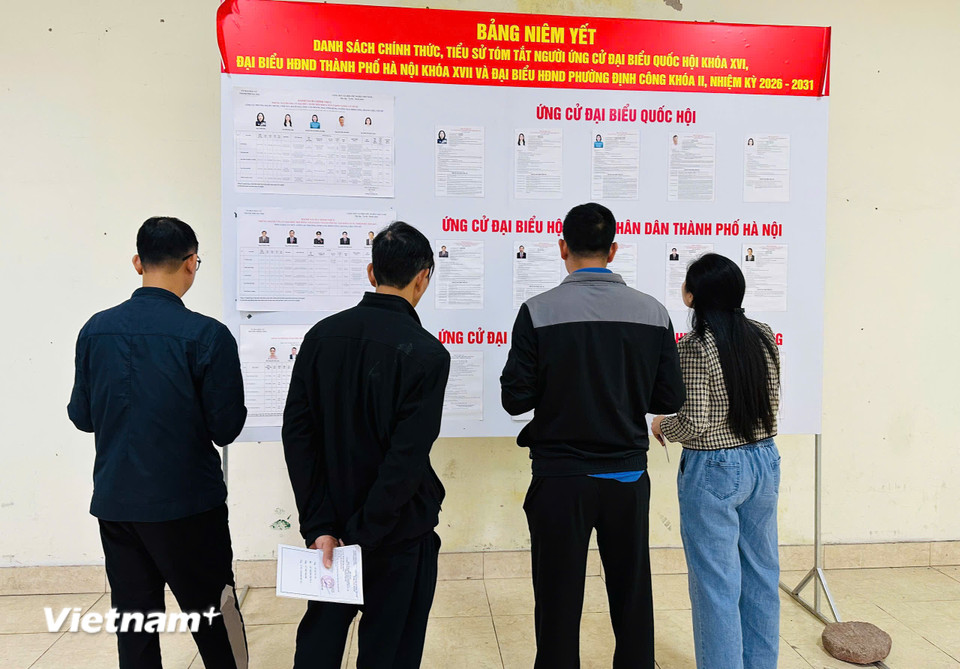 Cử tri khu vực bỏ phiếu số 4, phường Định Công, Hà Nội nghiên cứu tiểu sử người ứng cử trước khi bỏ phiếu. (Ảnh: Trí Đức/Vietnam+)
