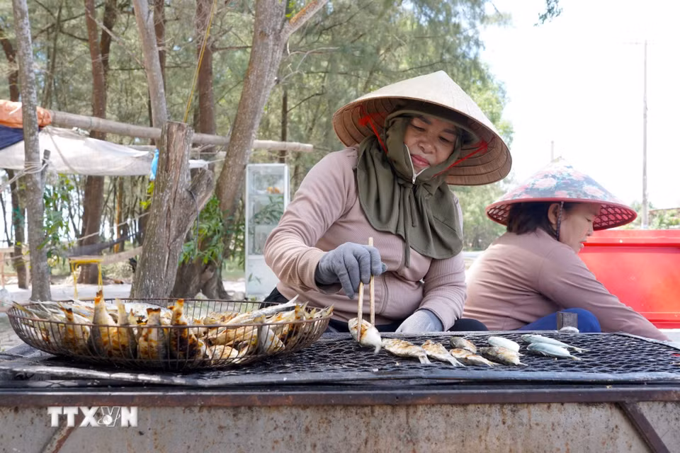 Những mẻ cá trích nướng vàng óng, thơm lừng là tâm huyết của những người phụ nữ vùng biển. (Ảnh: Thanh Thủy/TTXVN)