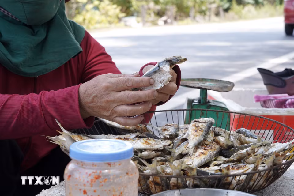 Nghề nướng cá trích không chỉ giúp tạo công ăn việc làm, thu nhập cho bà con vùng biển mà còn góp phần quảng bá đặc sản quê hương. (Ảnh: Thanh Thủy/TTXVN)