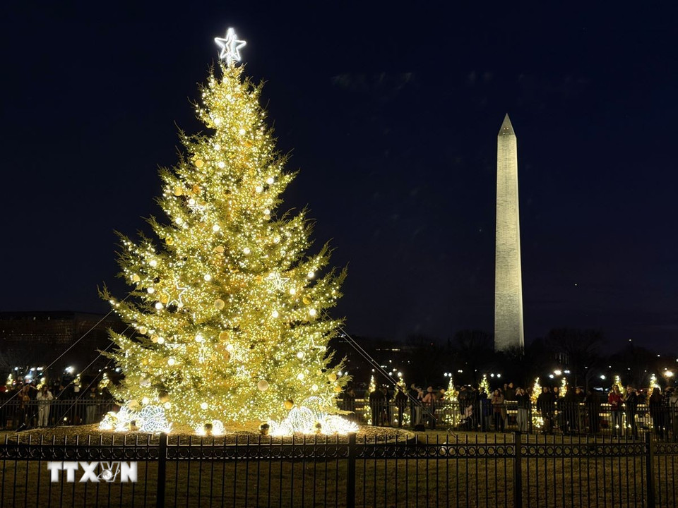 Cây thông Noel Quốc gia Mỹ rực rỡ ánh đèn trong mùa lễ hội, bên cạnh biểu tượng Tháp Bút chì (Washington Monument) nổi tiếng của thủ đô Washington DC. (Ảnh: Ngọc Quang/TTXVN)