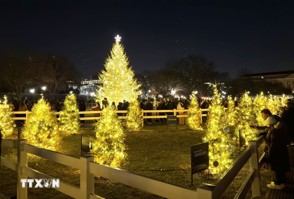 Khu vực xung quanh trưng bày 59 cây thông nhỏ, đại diện cho 50 bang, Đặc khu Washington DC, 5 vùng lãnh thổ hải ngoại, hệ thống giáo dục người bản địa, hệ thống giáo dục dành cho con em quân nhân và đại diện đặc biệt của chương trình America250. (Ảnh: Ngọc Quang/TTXVN)