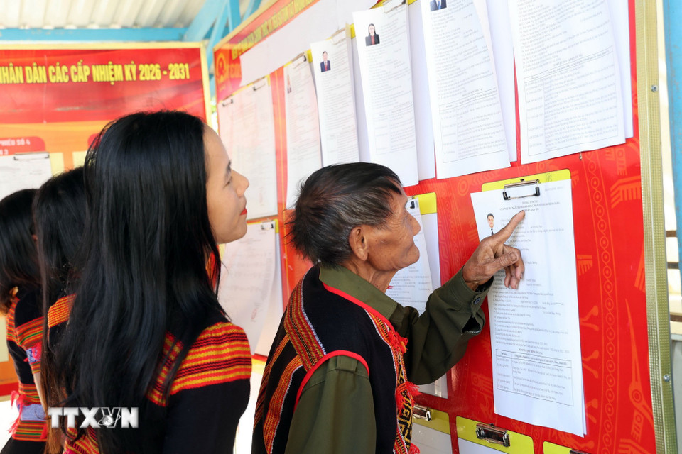 Cử tri đồng bào dân tộc thiểu số Xê Đăng, xã Trà Linh, thành phố Đà Nẵng đến điểm bầu cử tìm hiểu tiểu sử các ứng cử viên Quốc hội và Hội đồng Nhân dân. (Ảnh: Trần Tĩnh/TTXVN)