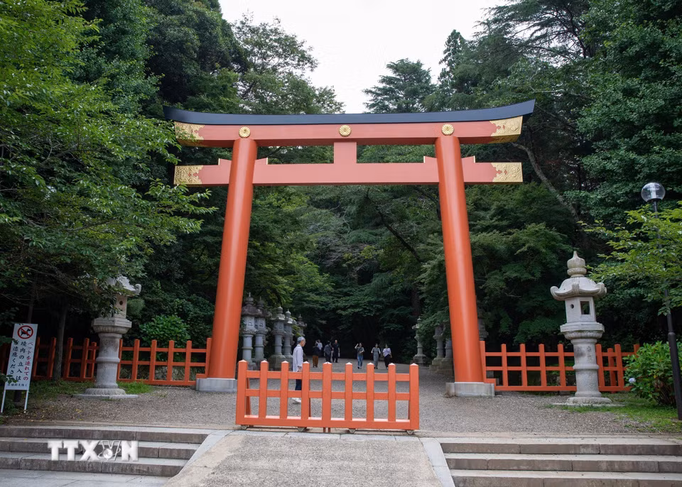 Con đường dẫn lên đền Katori Jingu bao quanh bởi những hàng cây cổ thụ xanh mát, tạo nên bầu không khí trang nghiêm và yên tĩnh. (Ảnh: Xuân Giao/TTXVN)