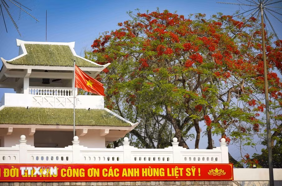 Hoa phượng bung nở trong khuôn viên Nghĩa trang Liệt sỹ Quốc gia A1. (Ảnh: Xuân Tư/TTXVN)