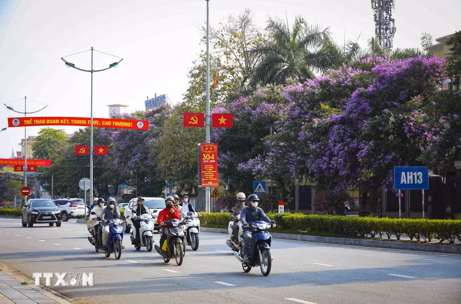Sắc tím bằng lăng phủ kín tuyến phố trung tâm, mang đến vẻ dịu dàng, lãng mạn cho phố núi Điện Biên. (Ảnh: Xuân Tư/TTXVN)