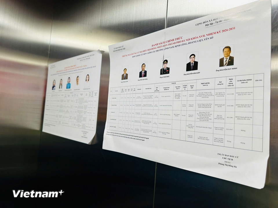 Danh sách các ứng cử viên được dán trong thang máy tòa nhà Đại Kim Building để cử tri tiện tìm hiểu thông tin. (Ảnh: Trí Đức/Vietnam+)